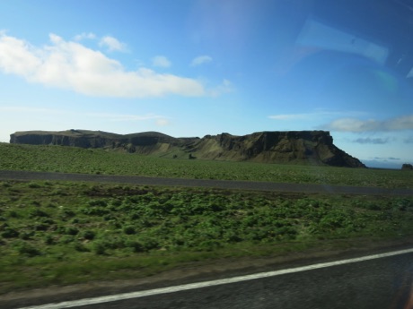 road side scenery